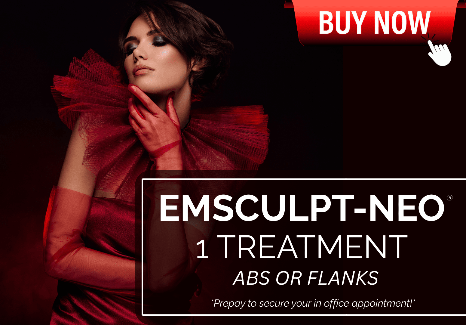 EMSCULPT NEO ABS OR FLANKS