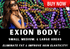 EXION BODY