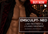 EMSCULPT NEO ABS + FLANKS