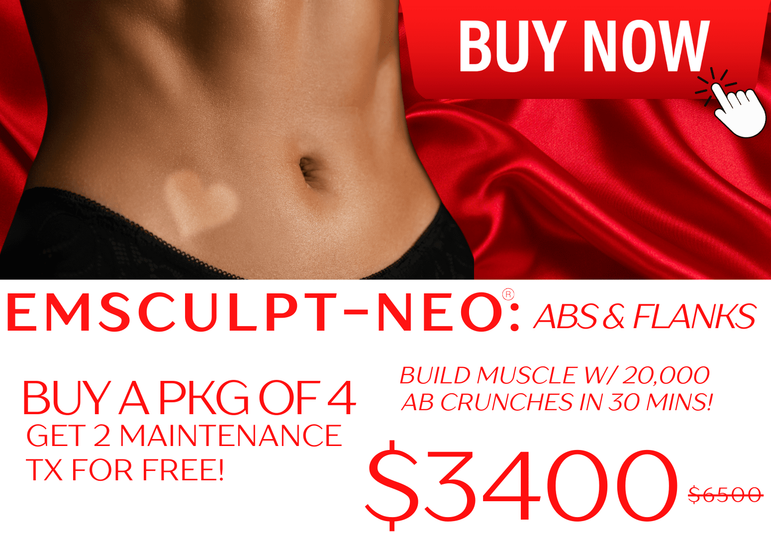 EMSCULPT NEO ABS OR FLANKS